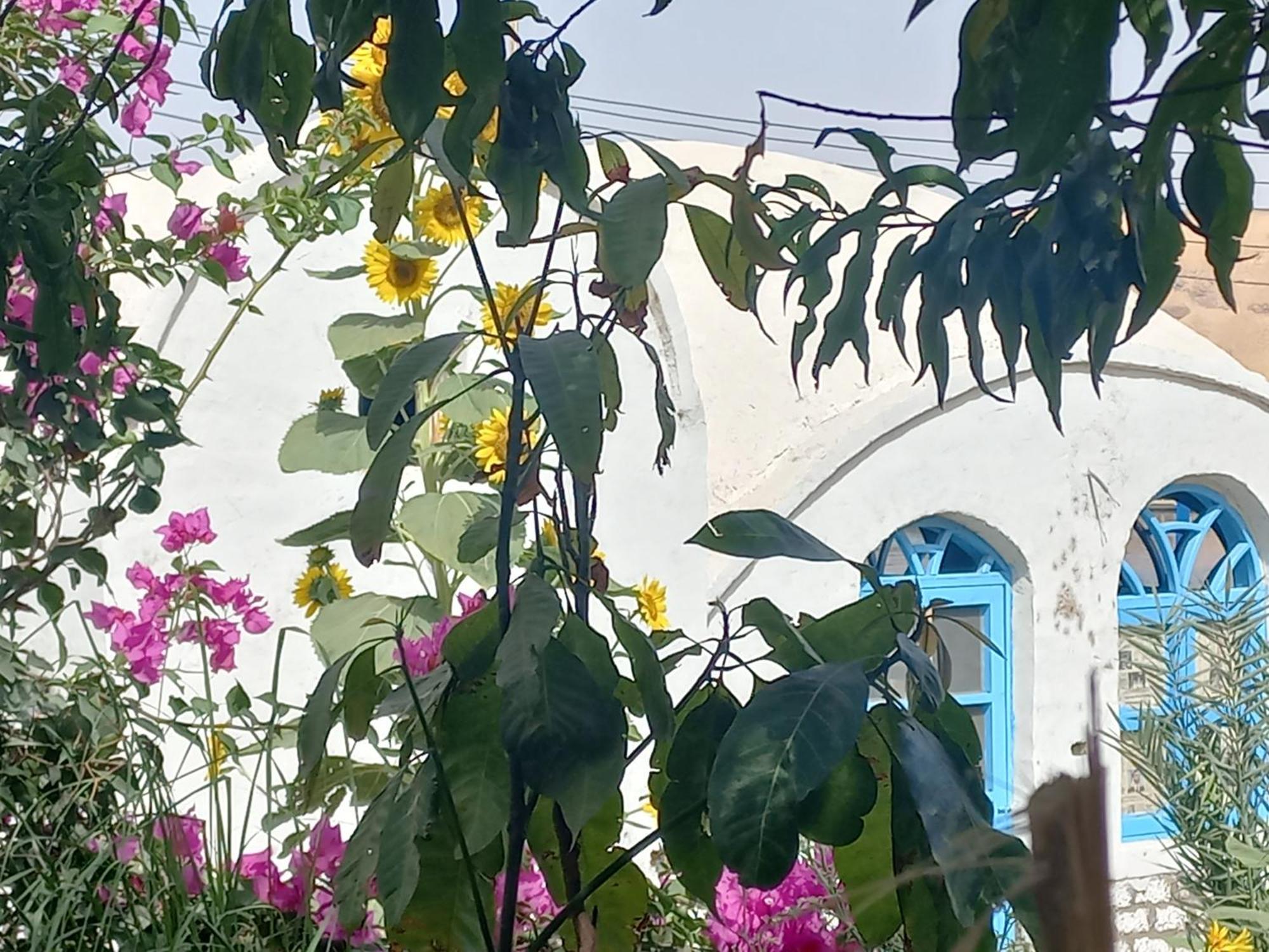Nubian Lotus Aswan Exterior foto